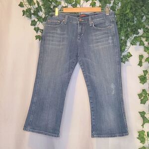 Vigoss. Capri jeans. Size 9/10. Embroidery. Sun, Peacock. EUC